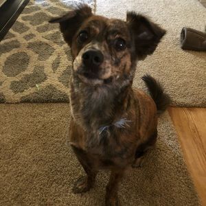 Meet your Posher, Casey